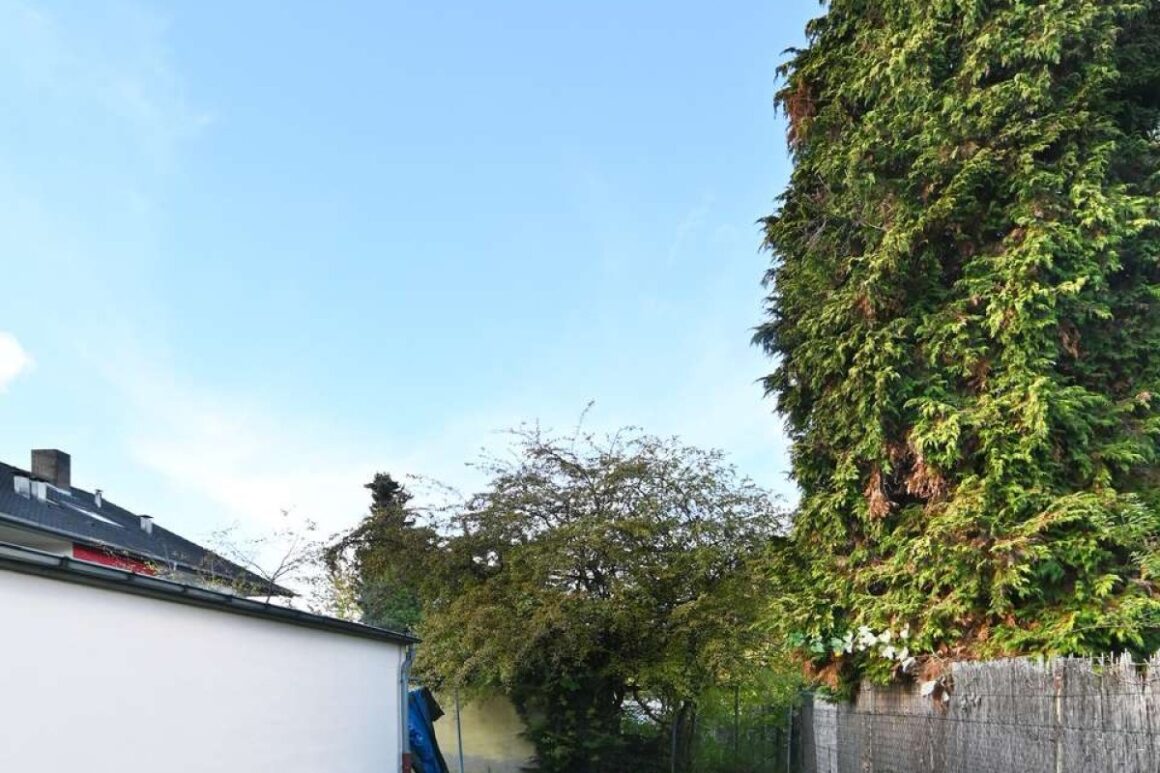 Garten 2
