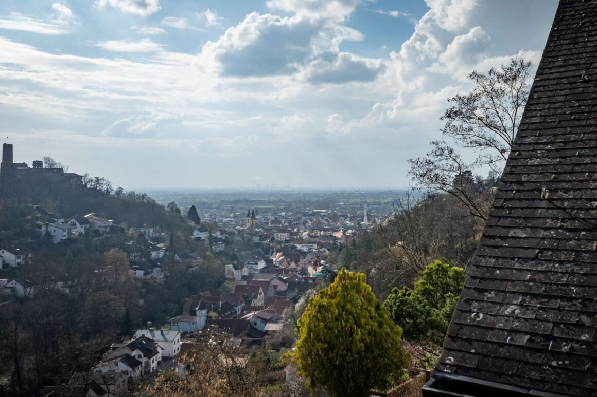 Panoramablick Auf Die Strahlenburg