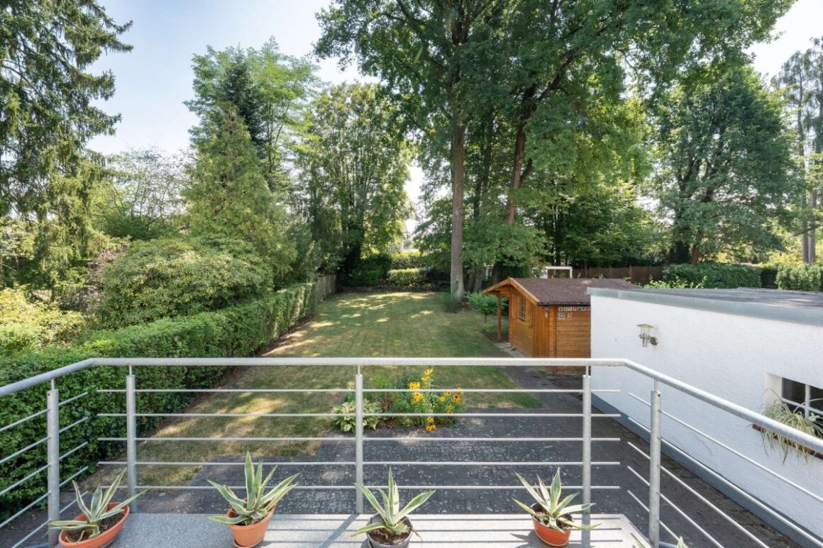 Terrassenblick Auf Alten Baumbestand