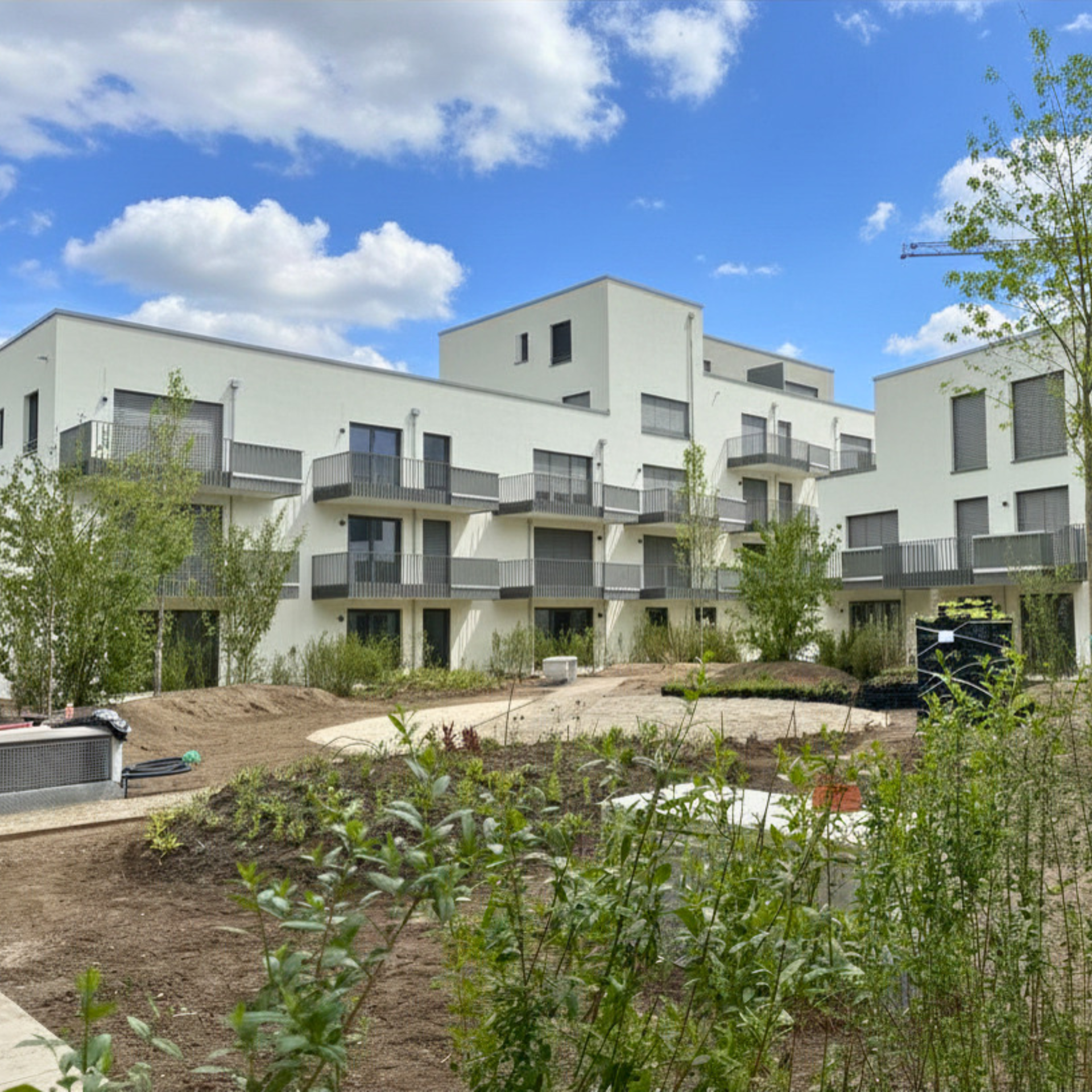 Grüne Parkmitte im Eppelheimer Neubauprojekt Mitte