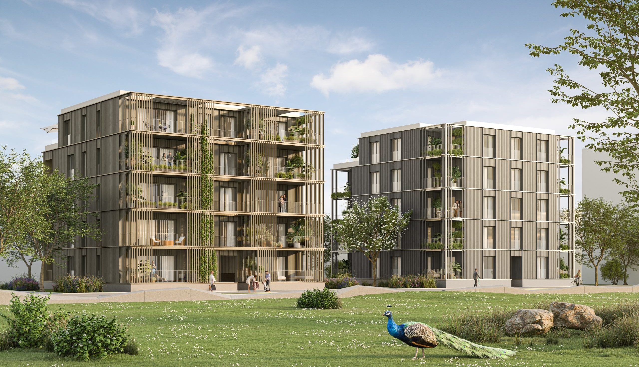 epp_flora_cam03_05 Modern multi-story apartment buildings with open balconies and vertical wooden slats, set in a green landscaped area with a peacock in the foreground.